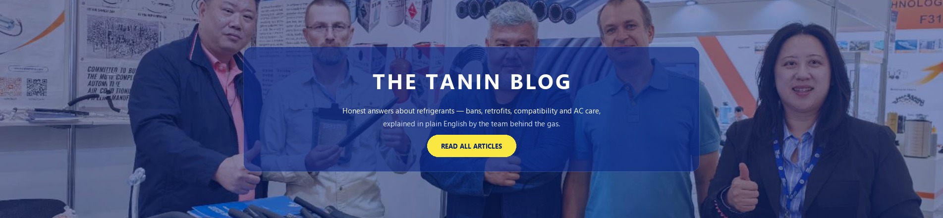blog